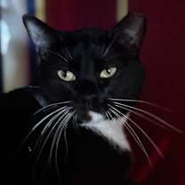 Thumbnail photo of JJ #2