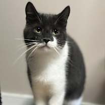 Thumbnail photo of HUCK #3