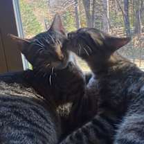 Thumbnail photo of Mateo #3