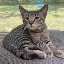 Thumbnail photo of Mateo #4