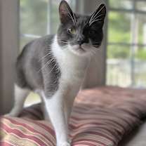 Thumbnail photo of HUCK #1