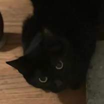 Thumbnail photo of Diana #2