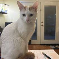 Thumbnail photo of Bill #3