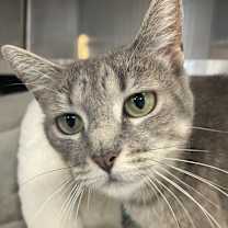 Thumbnail photo of W2 LYLA #3