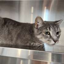 Thumbnail photo of W2 LYLA #4