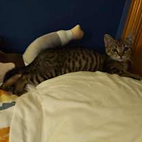 Thumbnail photo of Dale #3