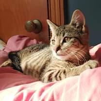 Thumbnail photo of Dale #4