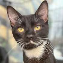 Thumbnail photo of Cam #1