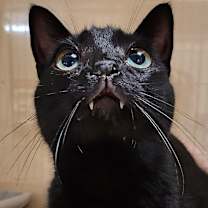 Thumbnail photo of Amelia Black #1