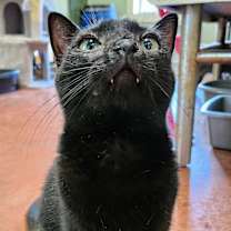 Thumbnail photo of Amelia Black #2