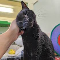 Thumbnail photo of Amelia Black #3