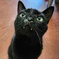 Thumbnail photo of Amelia Black #4