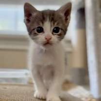 Thumbnail photo of McDreamy #3