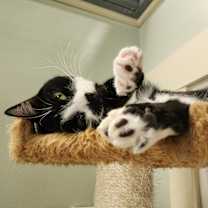 Thumbnail photo of Stubs #3