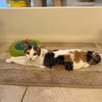 Thumbnail photo of Kalani #4