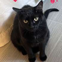 Thumbnail photo of WINNIE #1