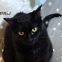 Thumbnail photo of WINNIE #2