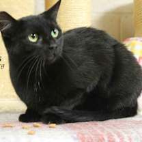 Thumbnail photo of WINNIE #3