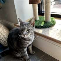 Thumbnail photo of Twig #4