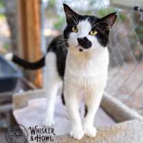 Thumbnail photo of Pinot Grigio #2