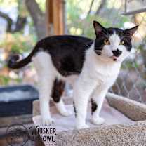 Thumbnail photo of Pinot Grigio #3