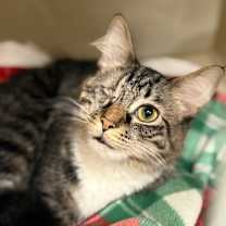 Thumbnail photo of Ensley #1