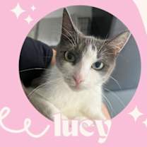 Thumbnail photo of Lucy #1