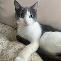 Thumbnail photo of Lucy #2