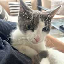 Thumbnail photo of Lucy #3