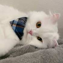 Thumbnail photo of DaDa #3