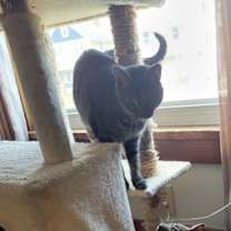 Thumbnail photo of Buddy #1