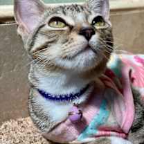 Thumbnail photo of Marissa #2