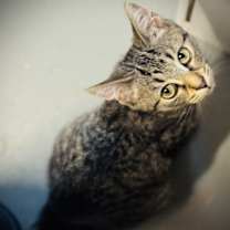 Thumbnail photo of Vivi #1