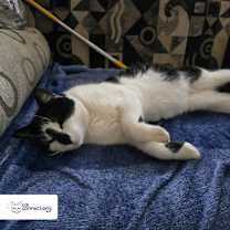 Thumbnail photo of Charlie #1