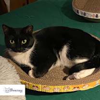 Thumbnail photo of River #1