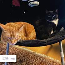 Thumbnail photo of River #3