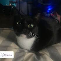 Thumbnail photo of River #4