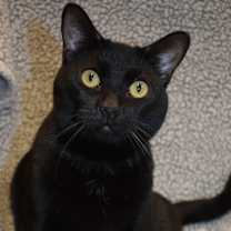 Thumbnail photo of Granny #1