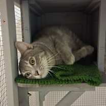 Thumbnail photo of Dapper Dan #3