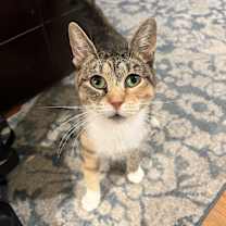 Thumbnail photo of Lesly #1