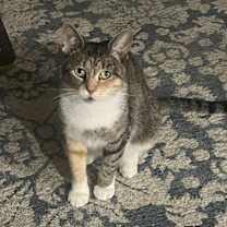 Thumbnail photo of Lesly #4