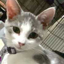 Thumbnail photo of ELSA #3