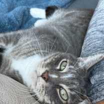 Thumbnail photo of Martin Di Bergi #1