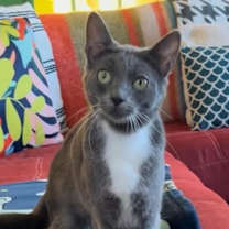 Thumbnail photo of Daisy #2