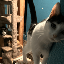 Thumbnail photo of Cowgirl #4