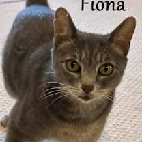 Thumbnail photo of Fiona #1