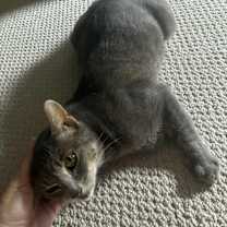 Thumbnail photo of Fiona #2