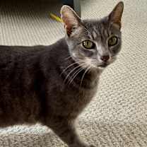 Thumbnail photo of Fiona #3