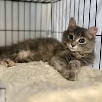 Thumbnail photo of Solstice #3