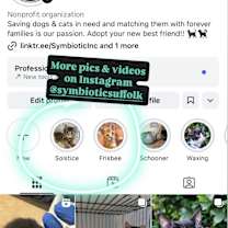 Thumbnail photo of Solstice #4